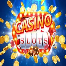 top bets